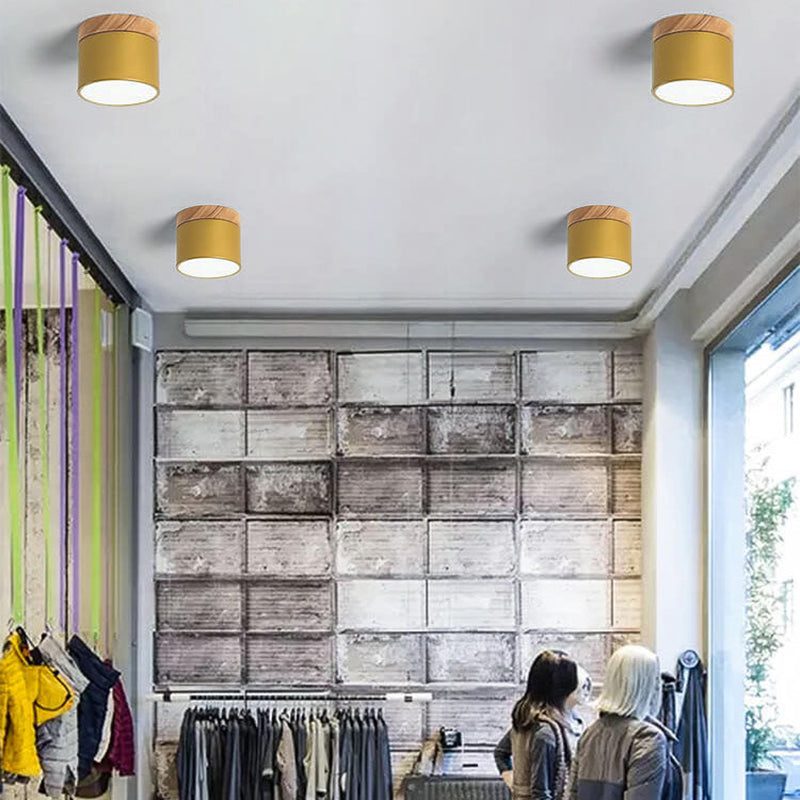 Scandinavian Macaron LED Ceiling Light