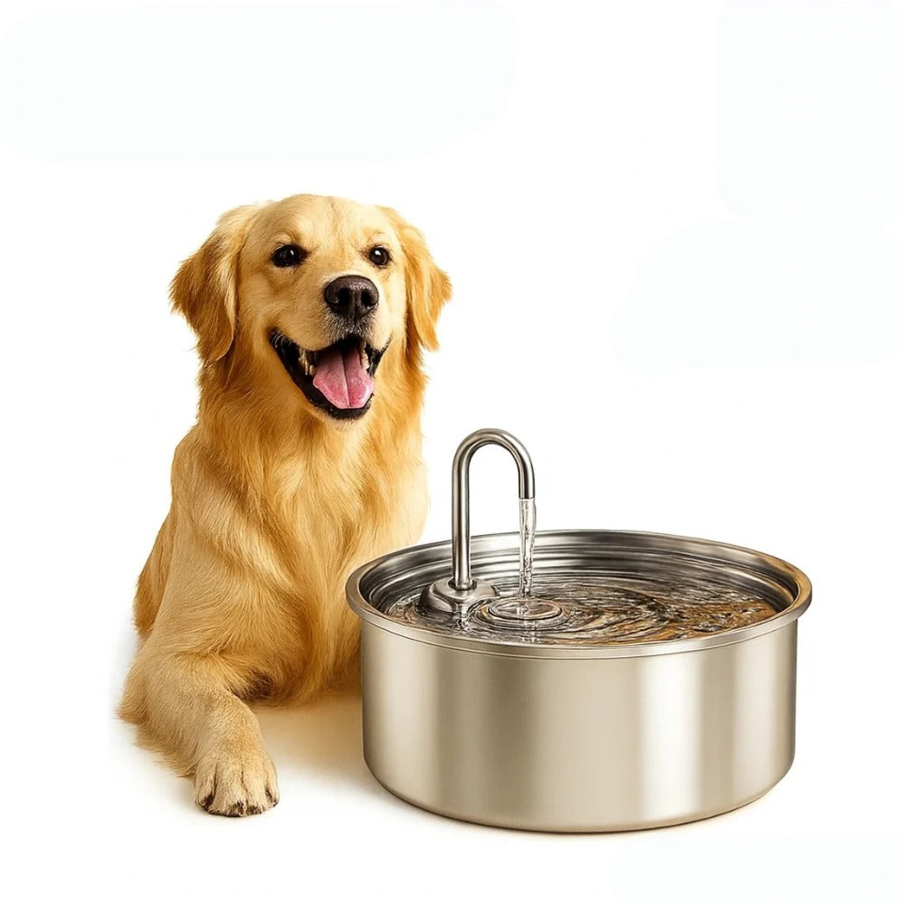 Pet Water Fountain Stainless Steel Automatic