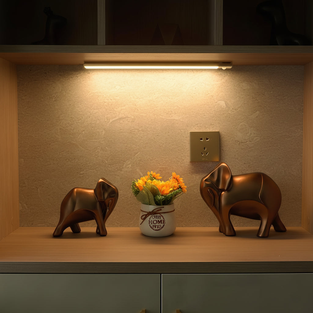 LED Motion Sensor Light Wireless