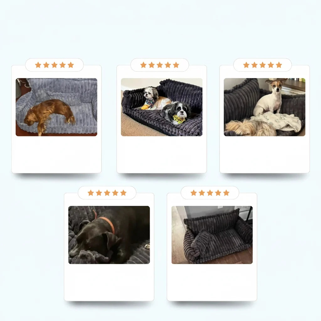 Dog Bed Washable Dog Sofa Bed Raised