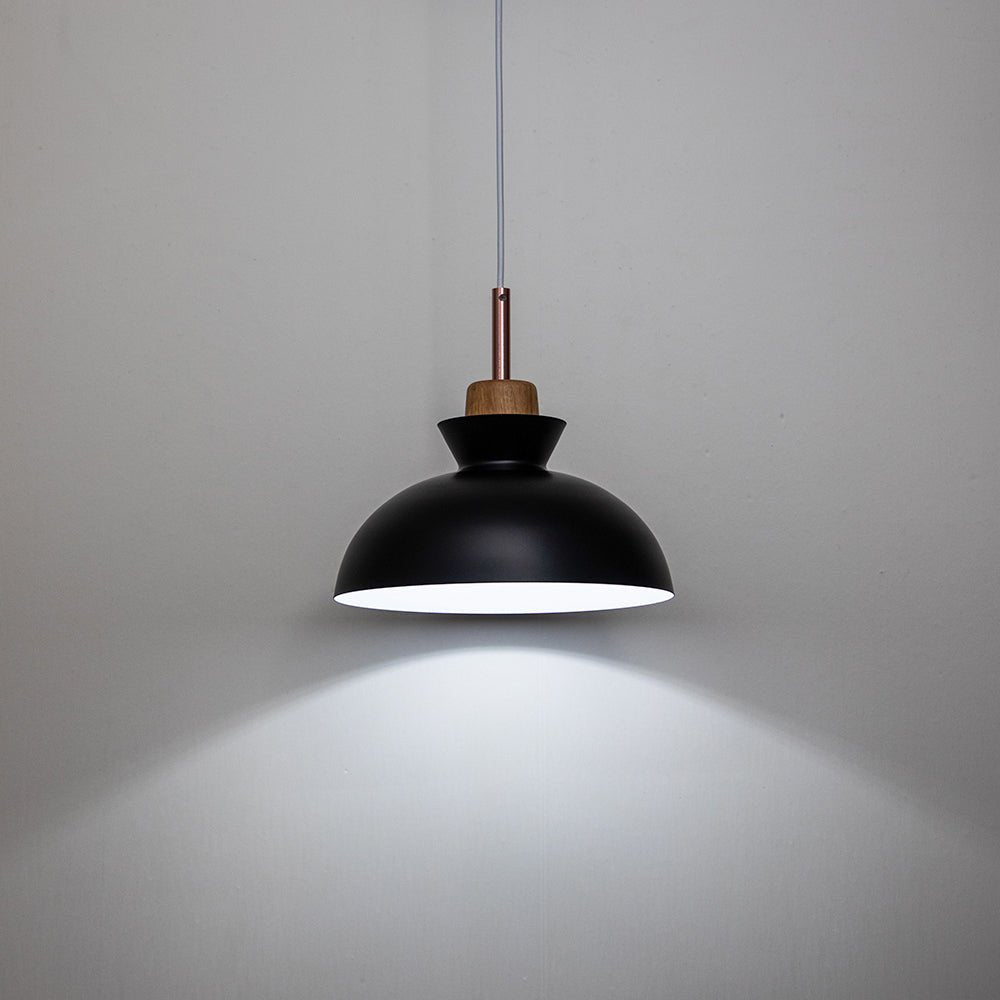 Modern Single Pendant Dome Light