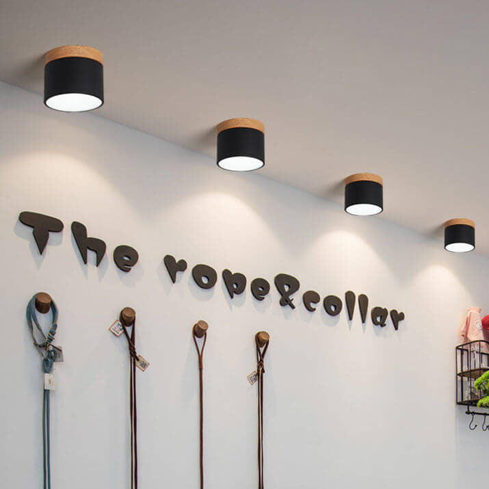 Scandinavian Macaron LED Ceiling Light
