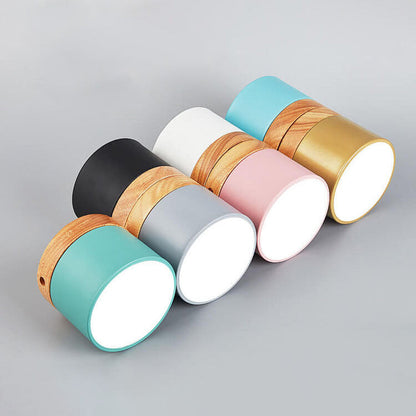 Scandinavian Macaron LED Ceiling Light