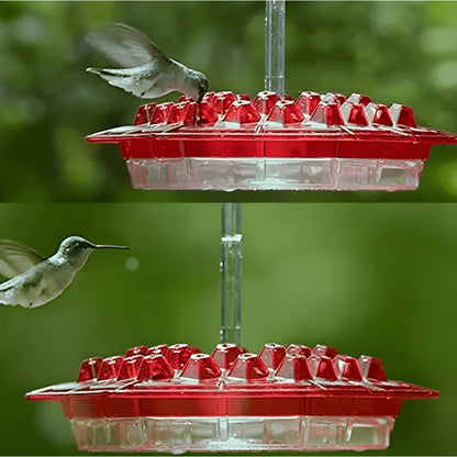 Hummingbird Feeder Nectar Hanging Garden