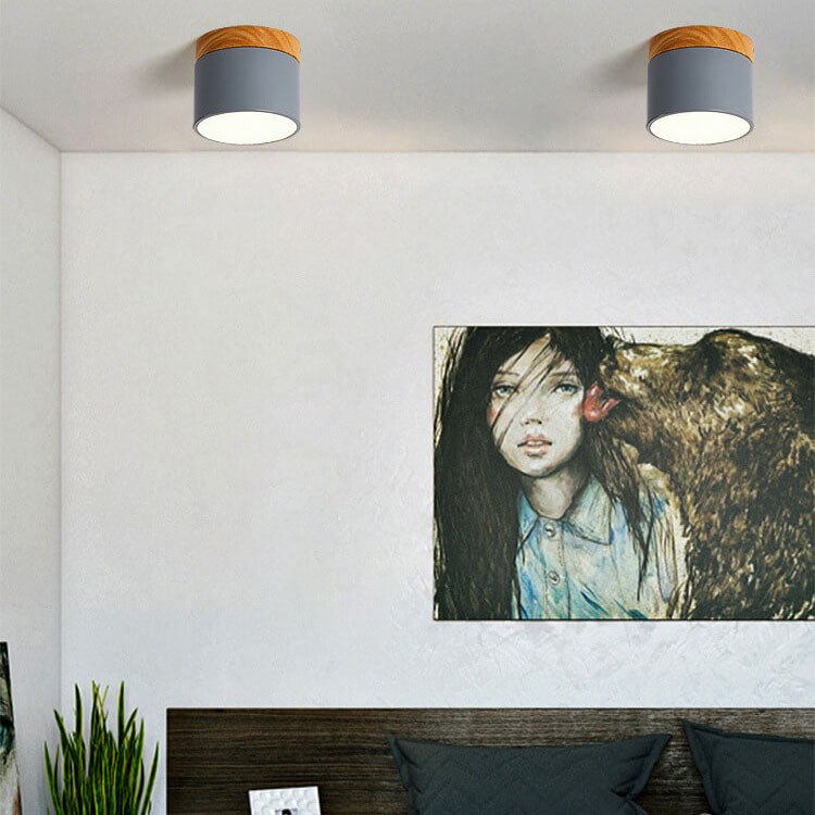 Scandinavian Macaron LED Ceiling Light