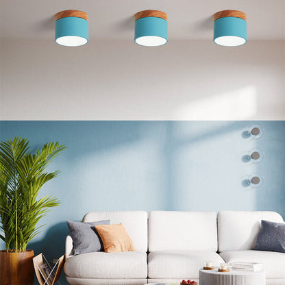 Scandinavian Macaron LED Ceiling Light