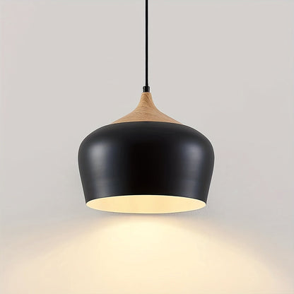 Modern Scandinavian Pendant Light Iron &