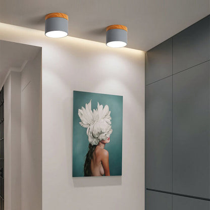 Scandinavian Macaron LED Ceiling Light