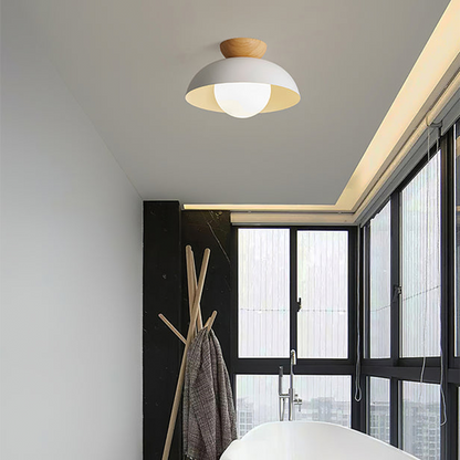 Nordic Dome Ceiling Light Modern Minimalist