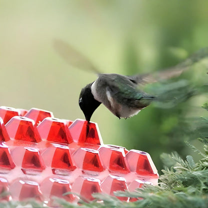 Hummingbird Feeder Nectar Hanging Garden