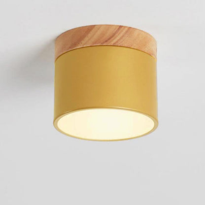 Scandinavian Macaron LED Ceiling Light