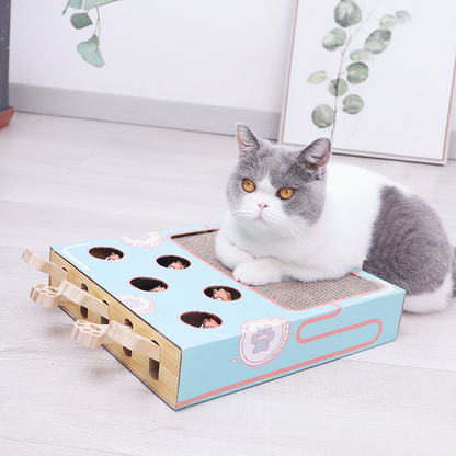 Cat Scratcher Puzzle Box Interactive Toy