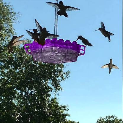 Hummingbird Feeder Nectar Hanging Garden