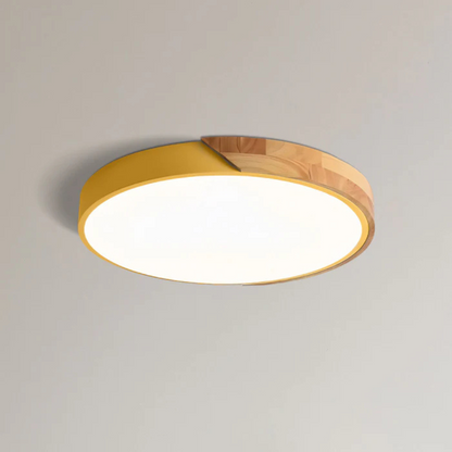 LED Ceiling Light Modern Nordic Wooden