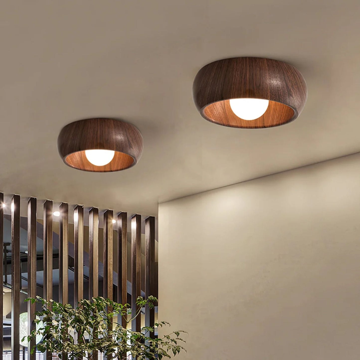 Albanora Ceiling Lamp Minimalist Modern