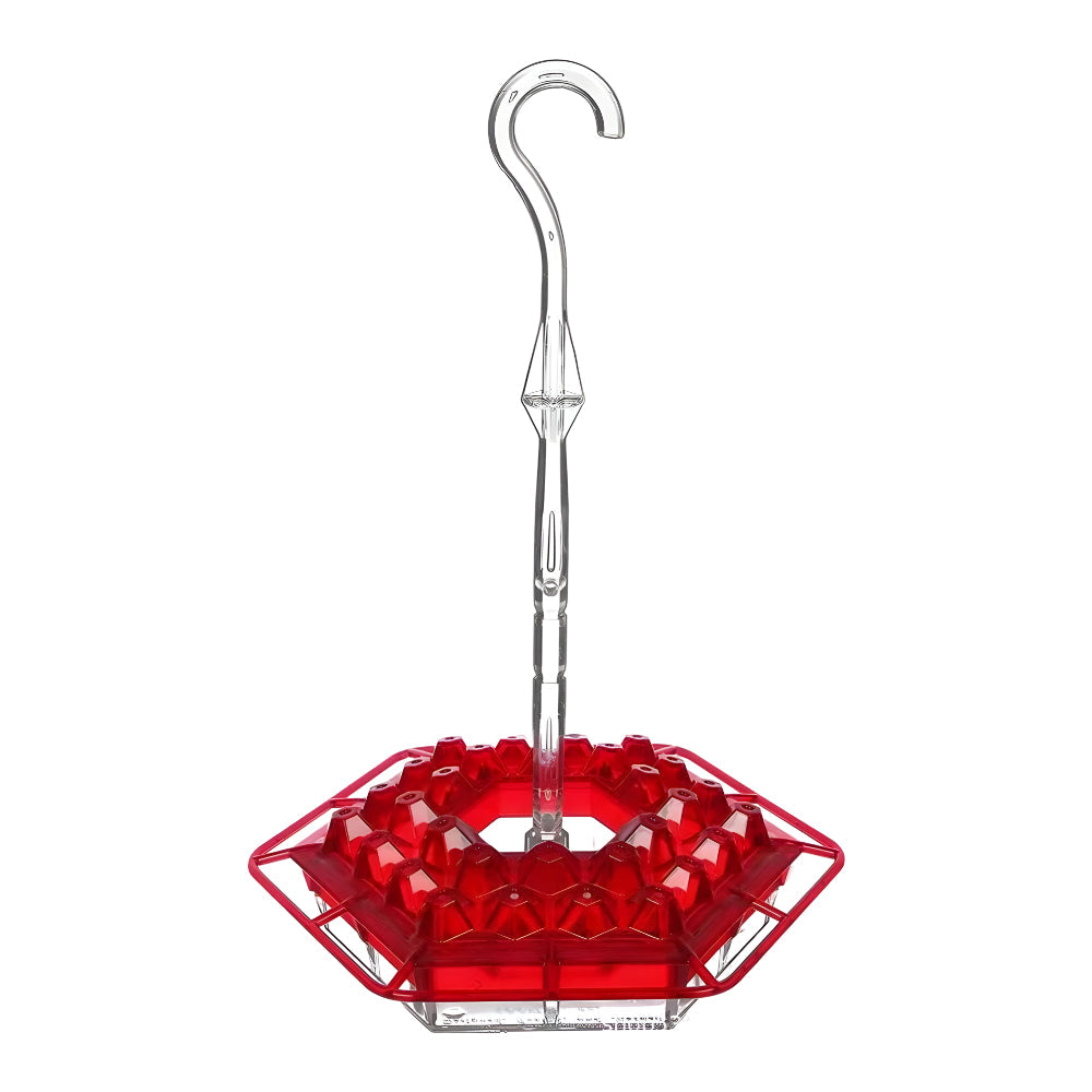 Hummingbird Feeder Nectar Hanging Garden
