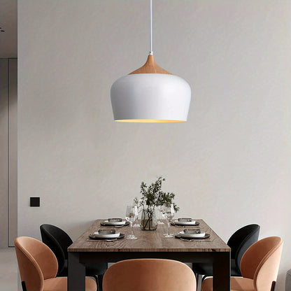 Modern Scandinavian Pendant Light Iron &