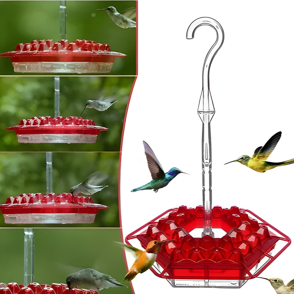 Hummingbird Feeder Nectar Hanging Garden