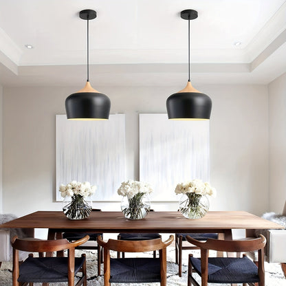 Modern Scandinavian Pendant Light Iron &
