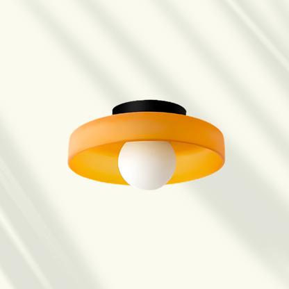 Modern LED Ceiling Light Stylish Flush Mount