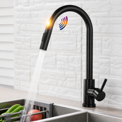 Kitchen Faucet Pull Out Spray Head Single