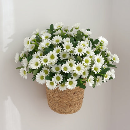 Artificial Daisy Flowers Mothers Day Gift