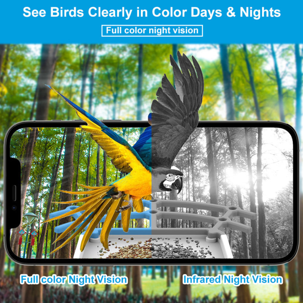 Bird Feeder Camera Outdoor Solar Roof Smart
