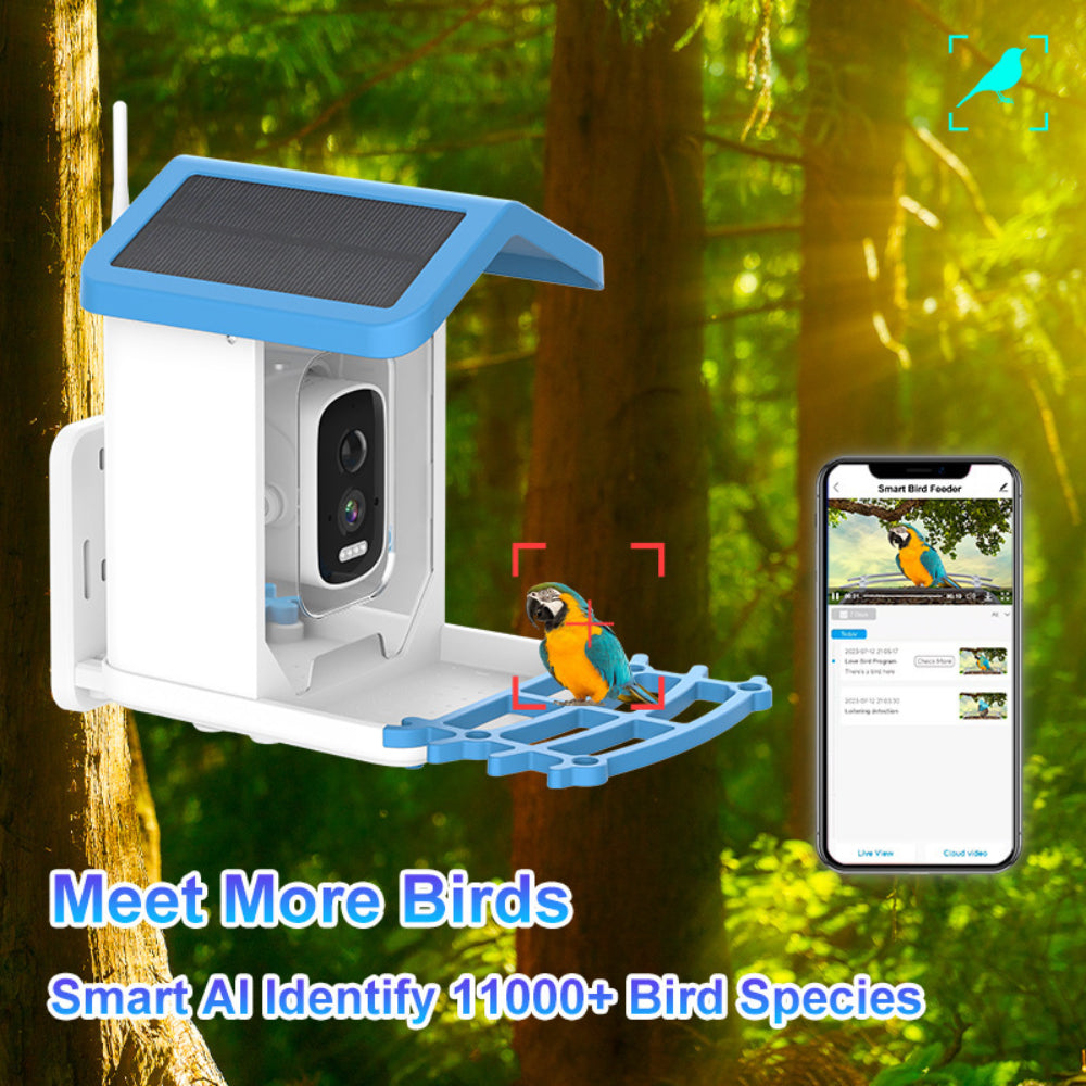 Bird Feeder Camera Outdoor Solar Roof Smart