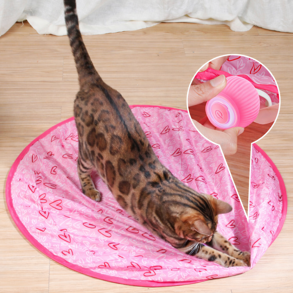 Cat Toy Interactive Rolling Smart Ball