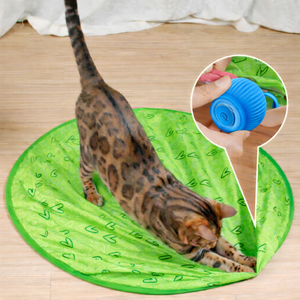 Cat Toy Interactive Rolling Smart Ball