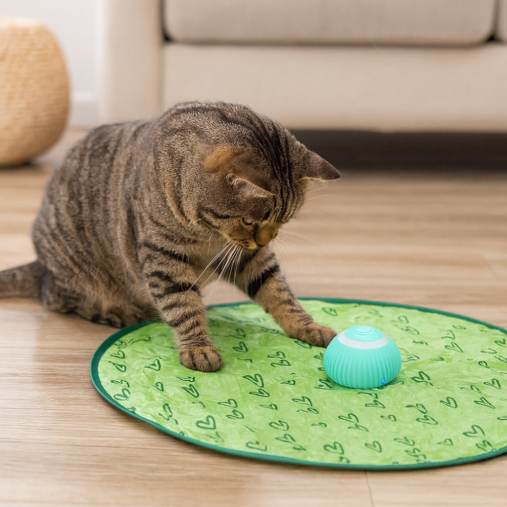 Cat Toy Interactive Play Mat Chase Ball