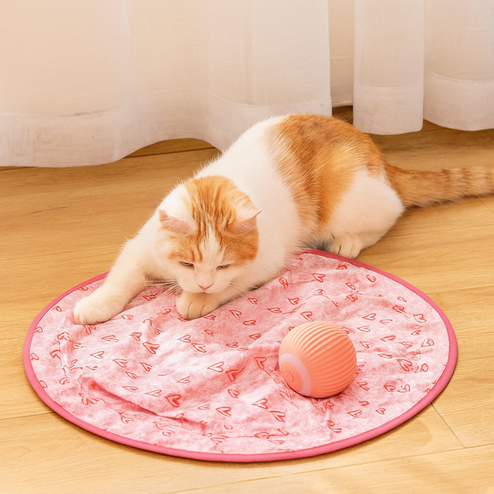 Cat Toy Interactive Play Mat Chase Ball