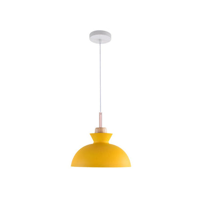 Modern Single Pendant Dome Light