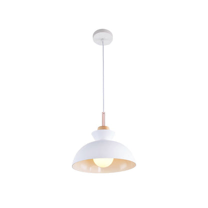 Modern Single Pendant Dome Light