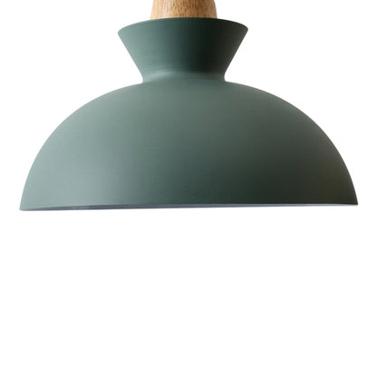 Modern Single Pendant Dome Light