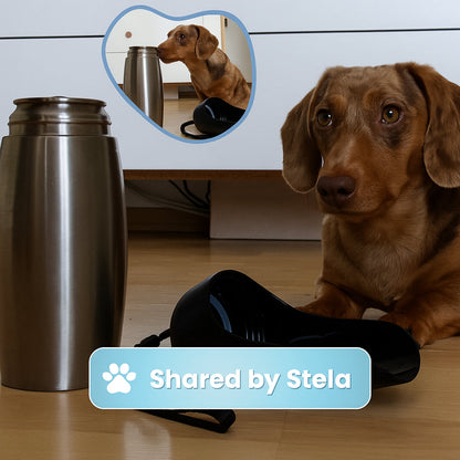 Dog Water Bottle Stainless Steel Travel
