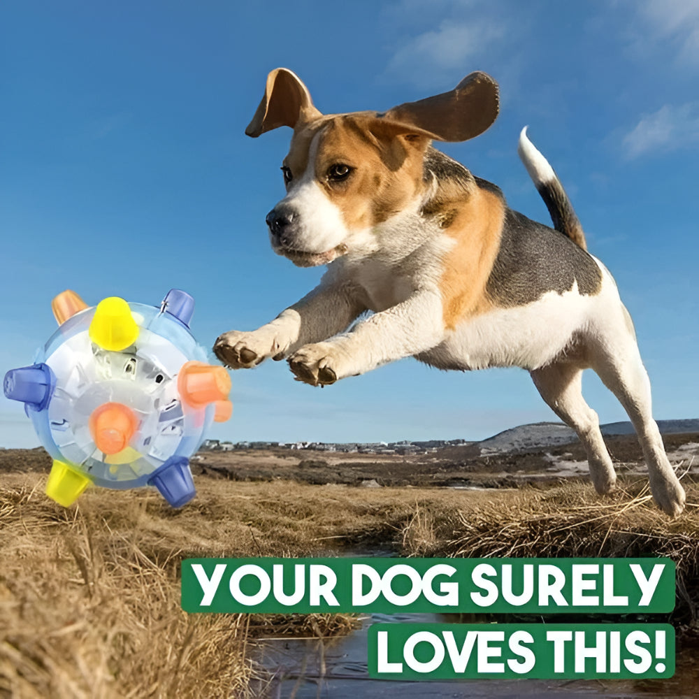 Dog Toy LED Bouncing Interactive Plastic