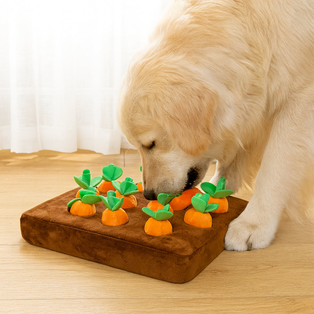 Dog Toy Snuffle Mat Interactive Treat Forage