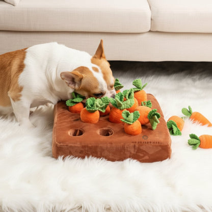 Dog Snuffle Mat Carrot Puzzle Toy Treat