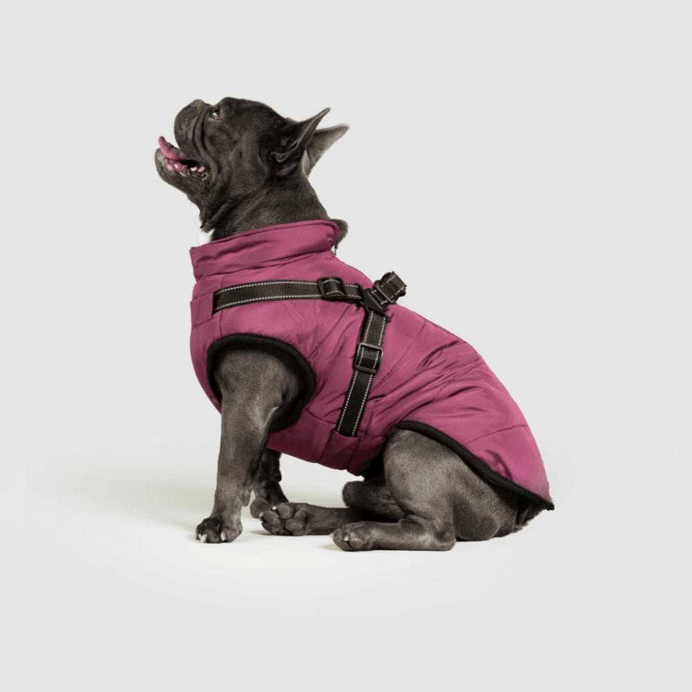 Dog Jacket Winter Outdoor Pet Coat