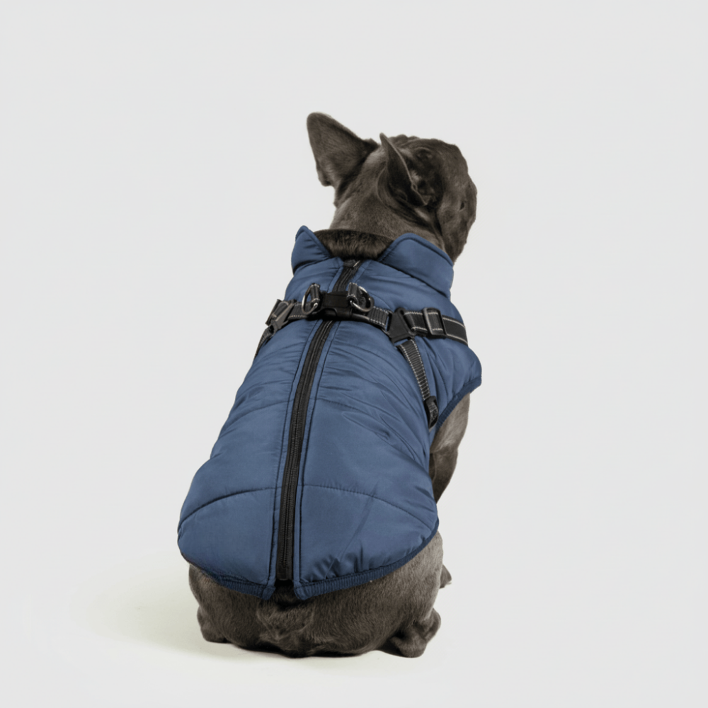 Dog Jacket Winter Outdoor Pet Coat