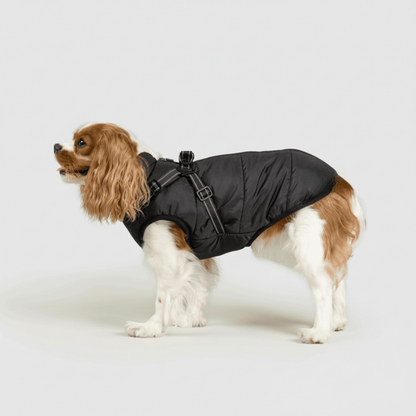 Dog Jacket Winter Outdoor Pet Coat