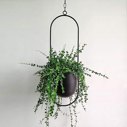 Floraframe Hanging Planter Modern Minimalist