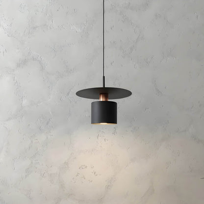 Pendant Light Modern Minimalist Ceiling Lamp