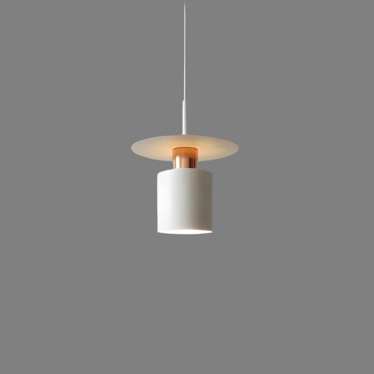 Pendant Light Modern Minimalist Ceiling Lamp