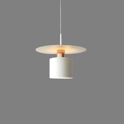 Pendant Light Modern Minimalist Ceiling Lamp