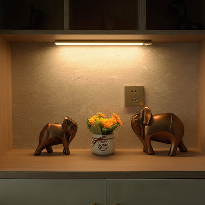 LED Motion Sensor Light Wireless