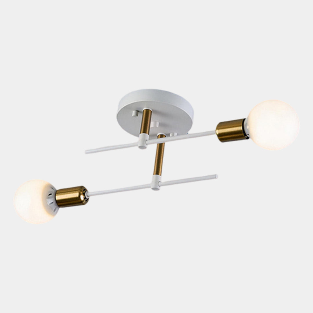 Modern 2 Light Ceiling Lamp Black &