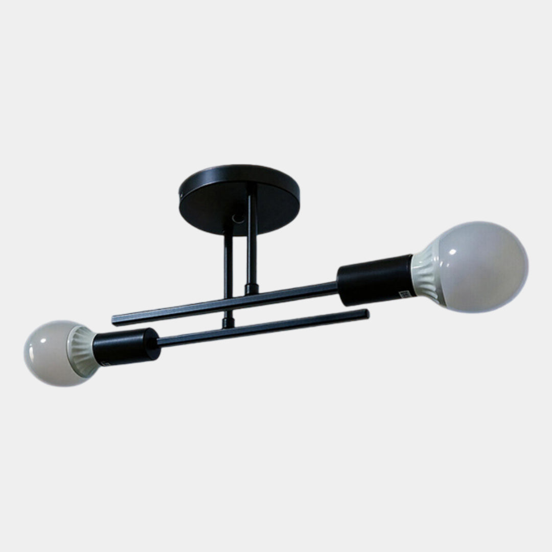 Modern 2 Light Ceiling Lamp Black &
