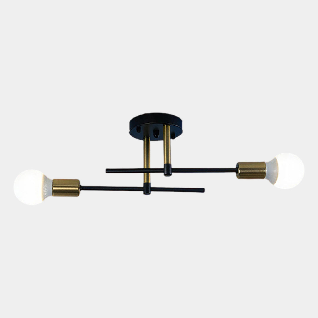 Modern 2 Light Ceiling Lamp Black &